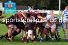 Tynedale v Rossendale, 2025 Tynedale Park, Corbridge, October 4th. Photo: David T. Hewitson/Sports for All Pics